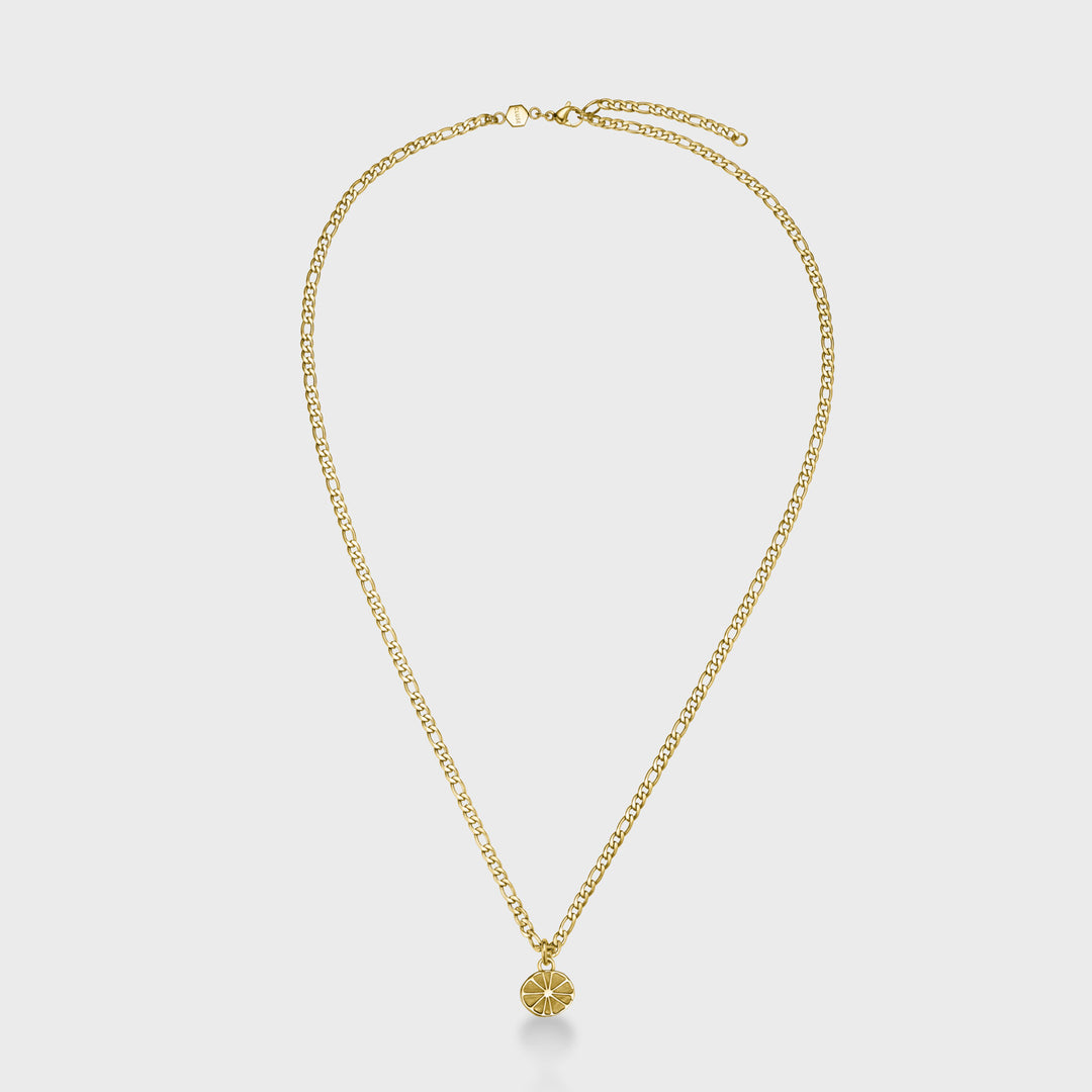Essentielle Figaro Chain Citrus Charm Necklace, Gold Colour CN13316 - frontal