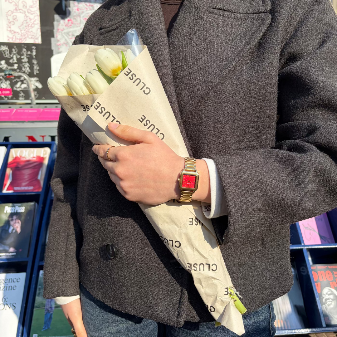 CLUSE Gracieuse Petite Watch Steel, Watermelon Red, Gold Colour CW11827 - Watch on model