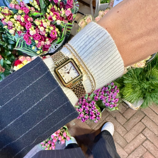 CLUSE Gracieuse Mini Watch Steel, White, Gold Colour CW15506 - Watch on model