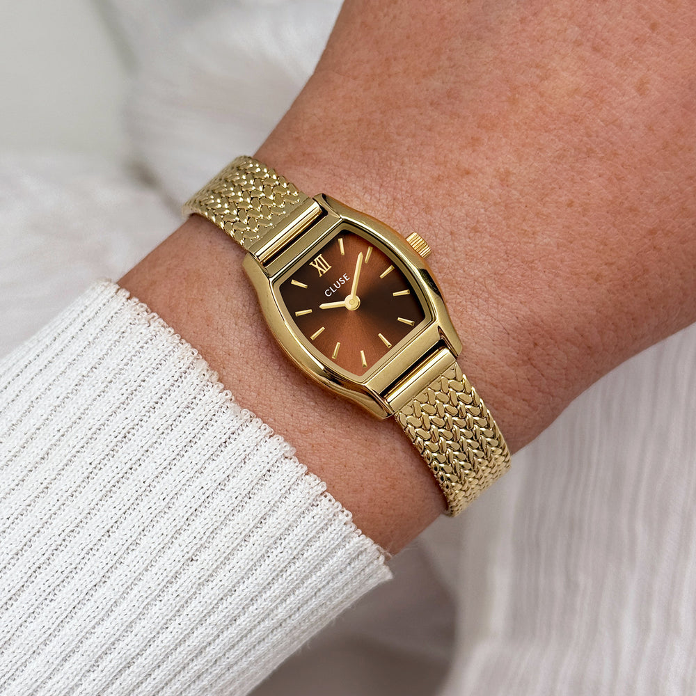CLUSE Tonnette Mini Watch Mesh, Brown, Gold Colour CW16504 - Watch on wrist