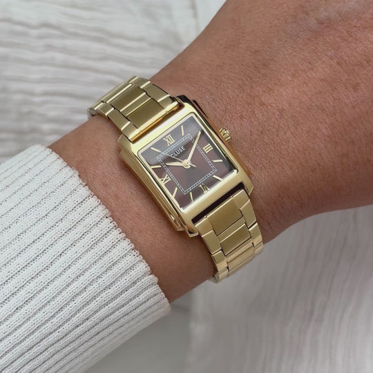 CLUSE Anglée Watch Steel, Brown, Gold Colour CW16604 - Moving wrist shot