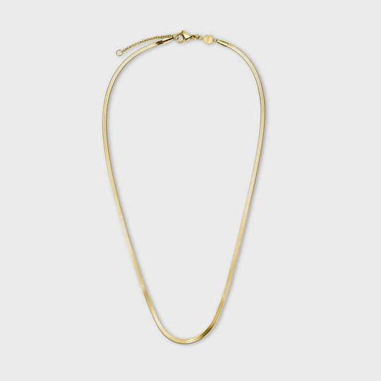 Gift Box Snake and Flat Curb Necklaces, Gold Colour CG10109 - Necklace