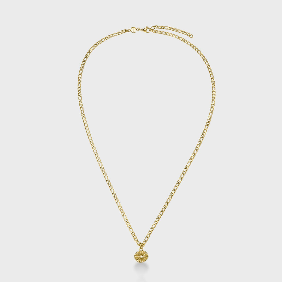Essentielle Figaro Chain Citrus Charm Necklace, Gold Colour CN13316 - Necklace
