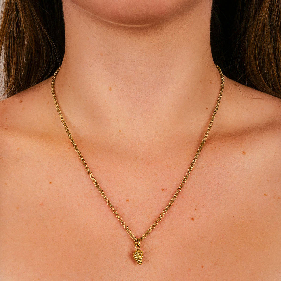 Essentielle Grape Charm Necklace, Gold Colour CN13317 - Necklace on model