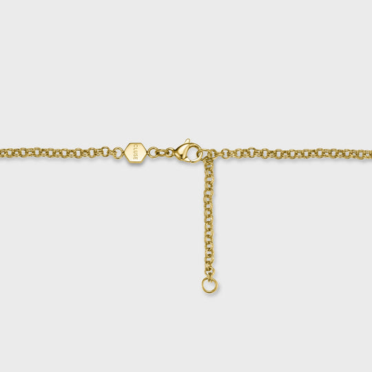 Essentielle Grape Charm Necklace, Gold Colour CN13317 - Necklace detail
